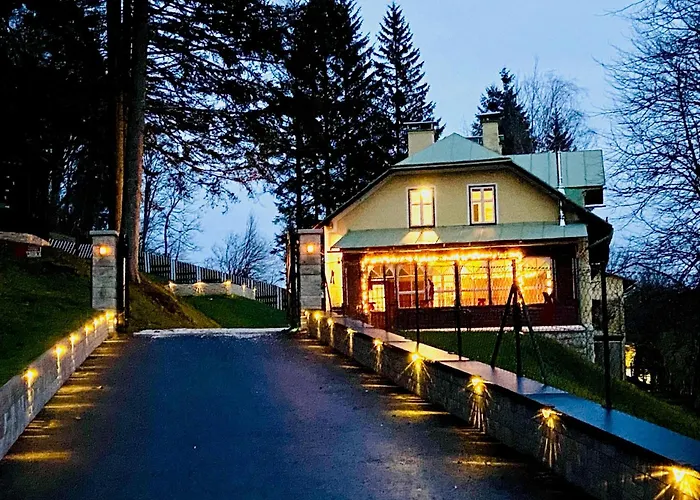 Mariazeller Alpen Chalet *